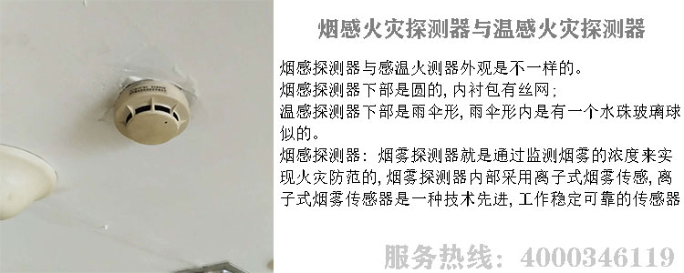 黄色草莓视频APP下载探測器